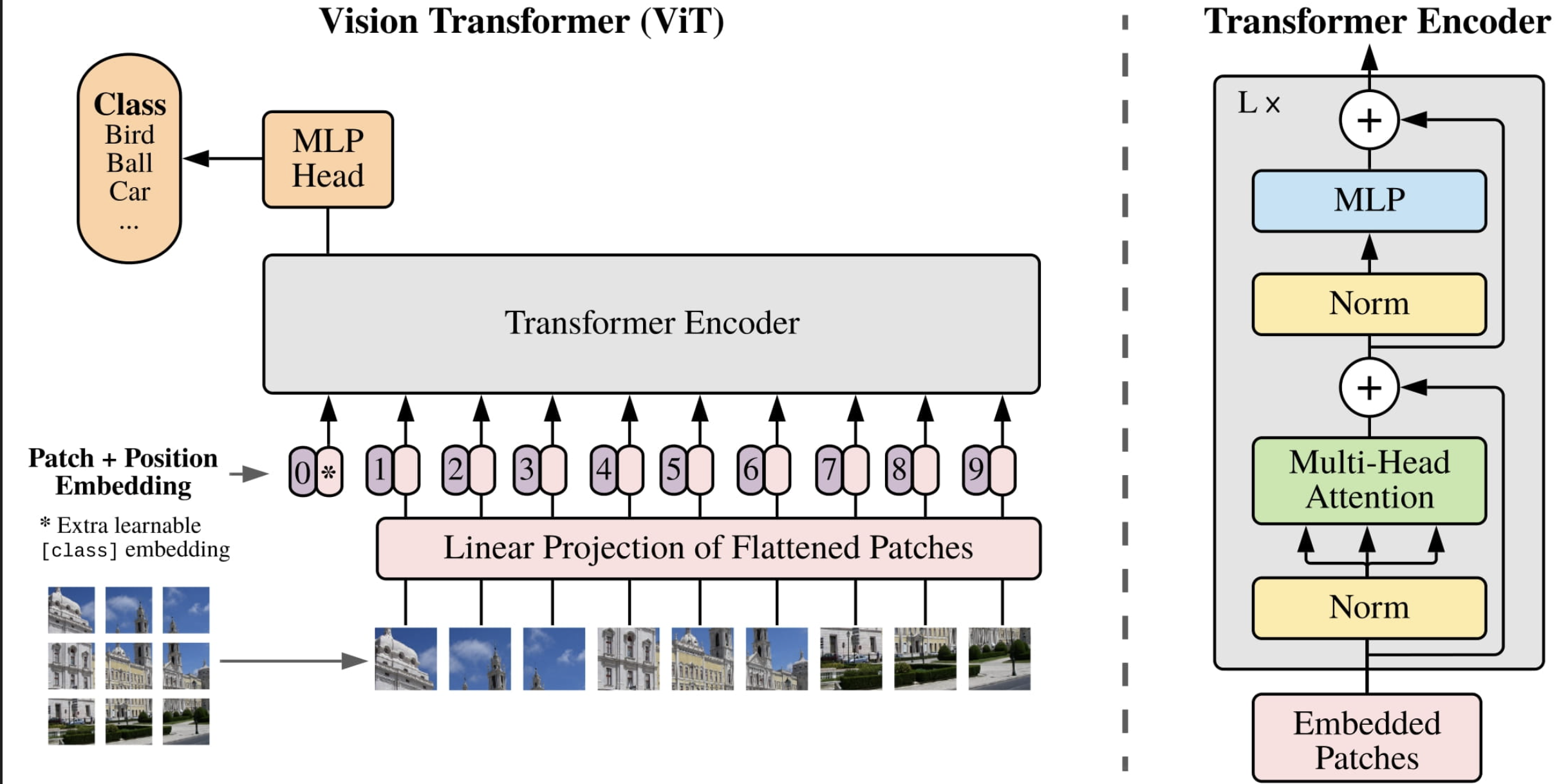 vit_architecture